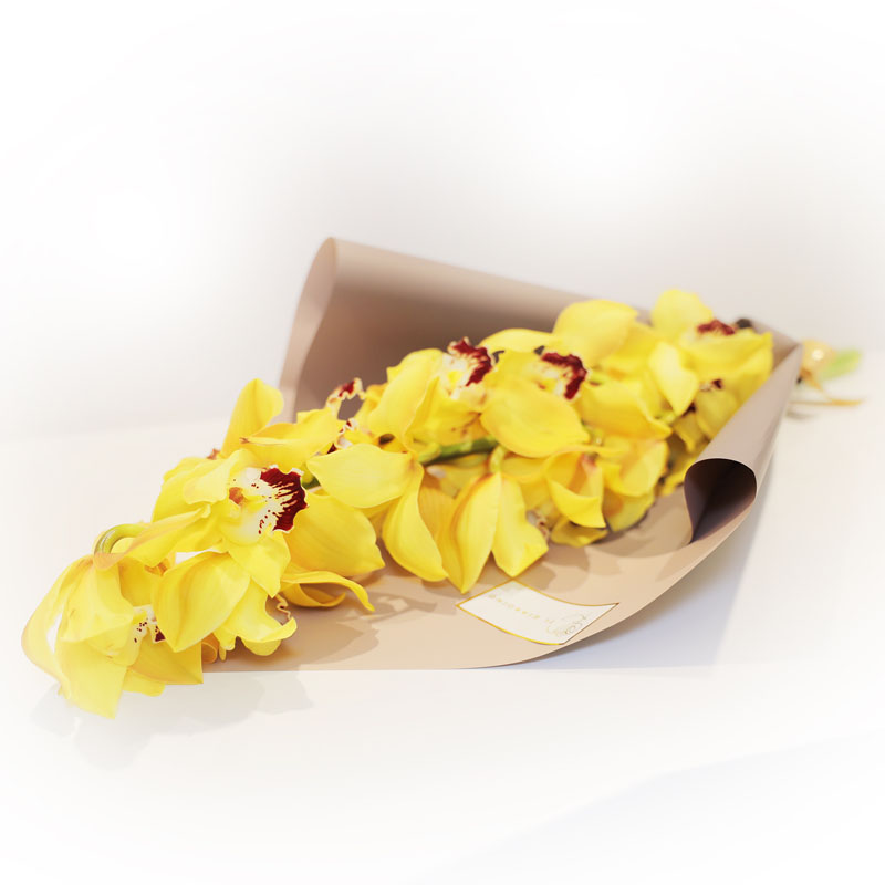 Yellow Cymbedium Orchids