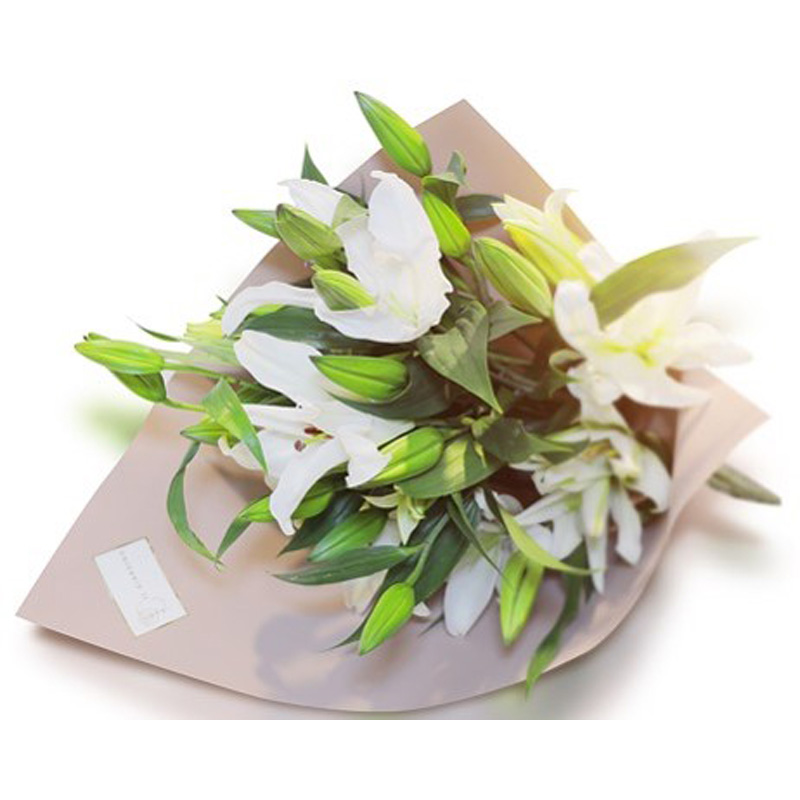 Oriental Lily white